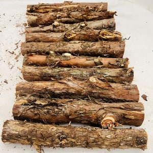 Small Cedar logs set of 10 wood sticks/logs 8 length bundle of cedar aromatic cedar logs all natural craft logs image 2