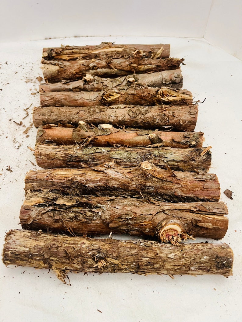Small Cedar logs set of 10 wood sticks/logs 8 length bundle of cedar aromatic cedar logs all natural craft logs image 2