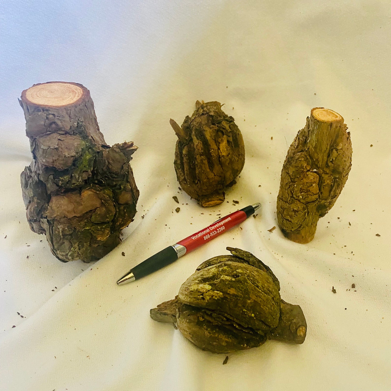 4 Pine wood burls 1 pound unique wood burls raw pine Etsy