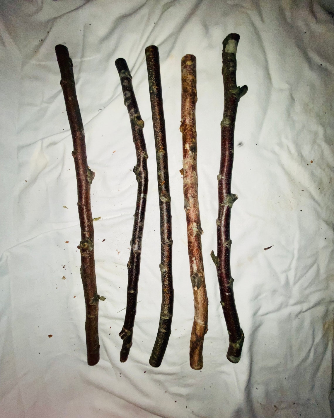 Birch Limbs Set of 5 Birch Wand 18 20 Long All Etsy