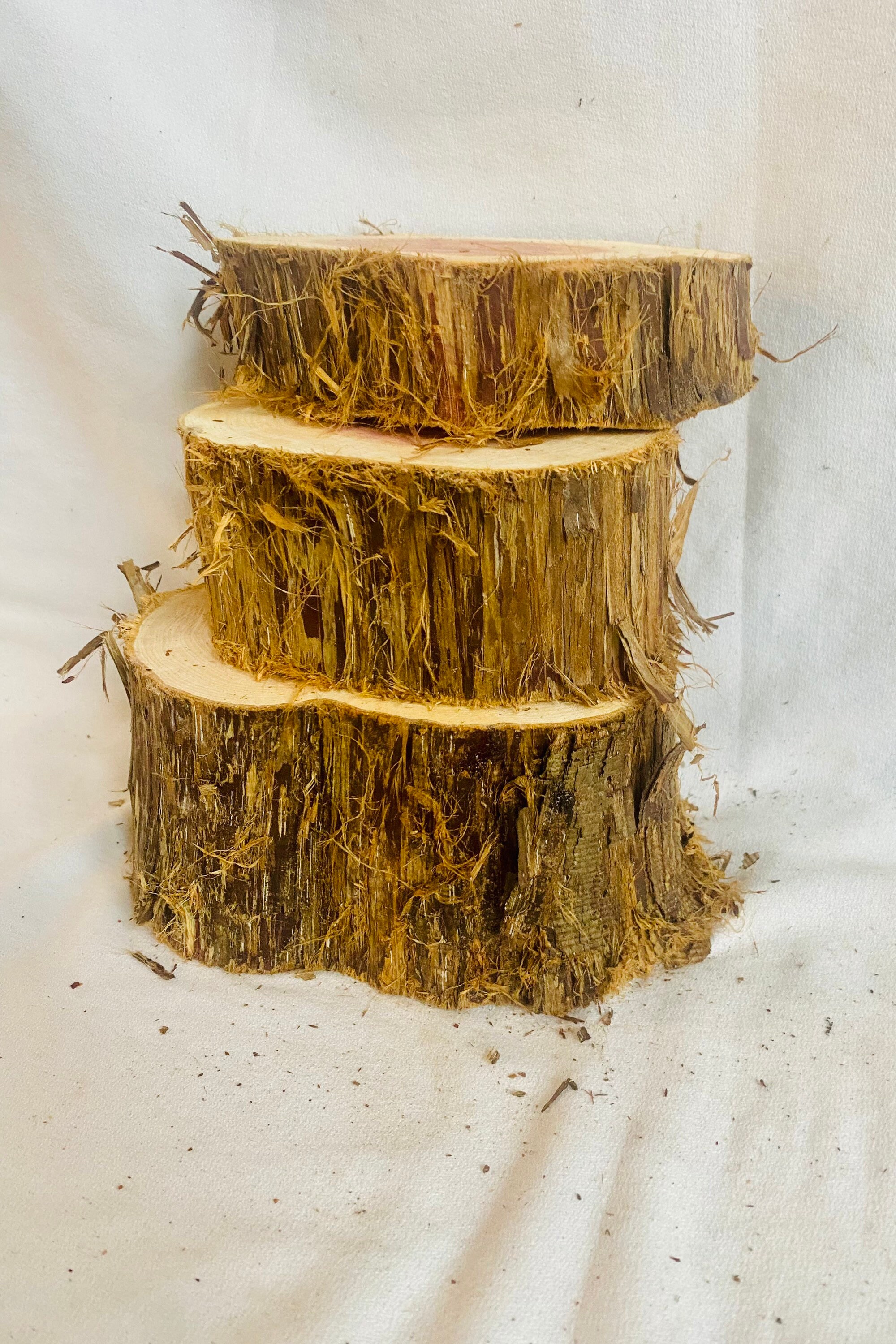 Rustic Cedar Stumps Set of 3 Live Edge Rustic Cedar Risers - Etsy
