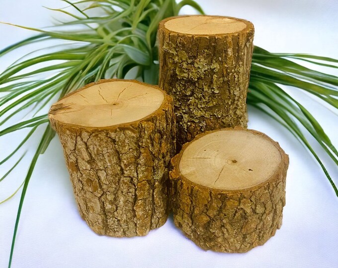 Rustic Cedar Stumps- Set of 3- Live Edge Rustic Cedar Risers - Wedding ...