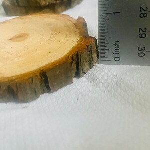May include: A close-up of a wooden round slice with a rough bark edge. The slice is being measured with a ruler, showing it is slightly over 4 inches in diameter.