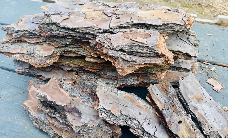 May include: A pile of brown and gray bark pieces, some are stacked and some are loose, on a blue surface.
