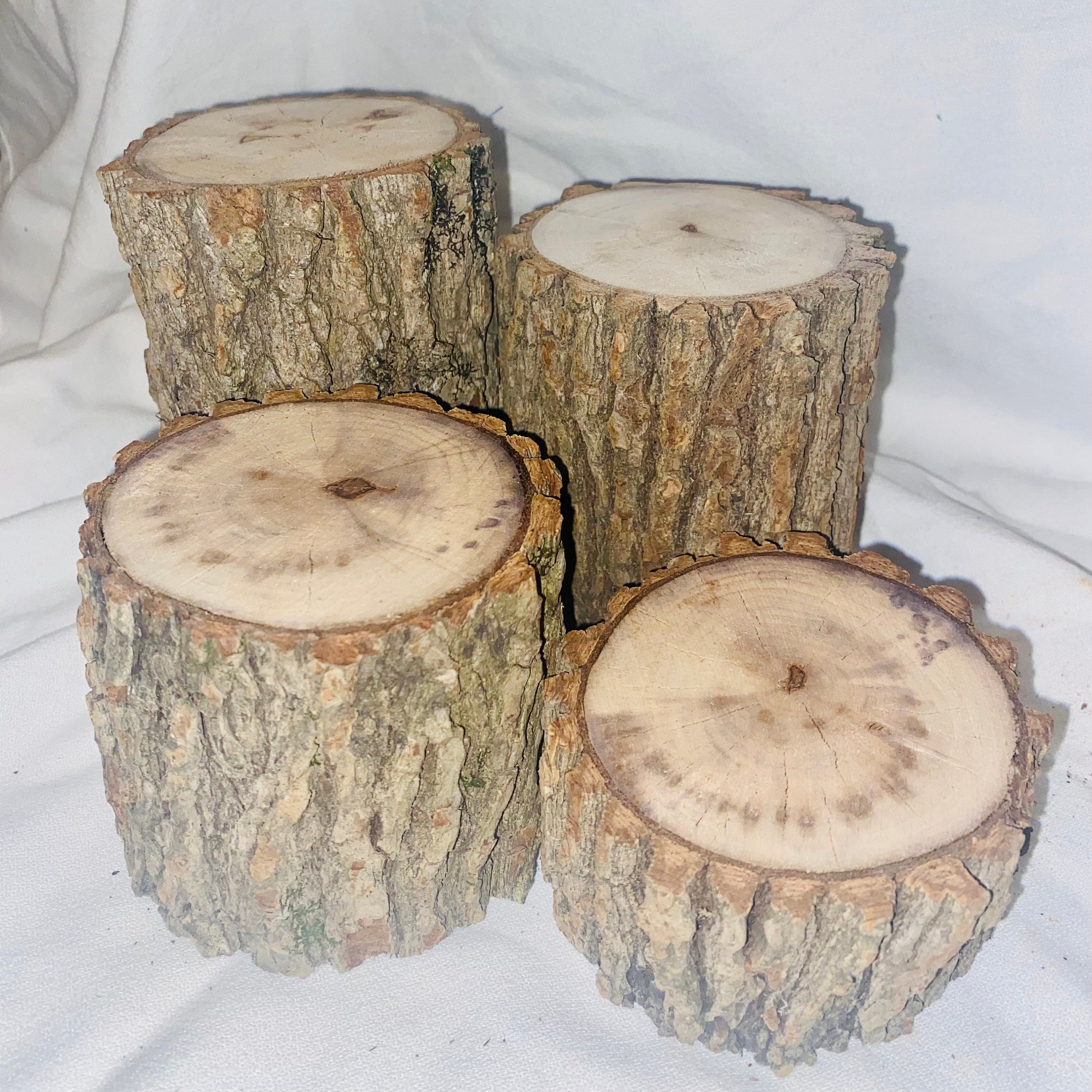 Tocones de troncos de madera rústica conjunto de 3 decoraciones de madera  rústica de 5 de diámetro boda rústica, pieza central de mesa rústica,  decoración de jardín de hadas -  México