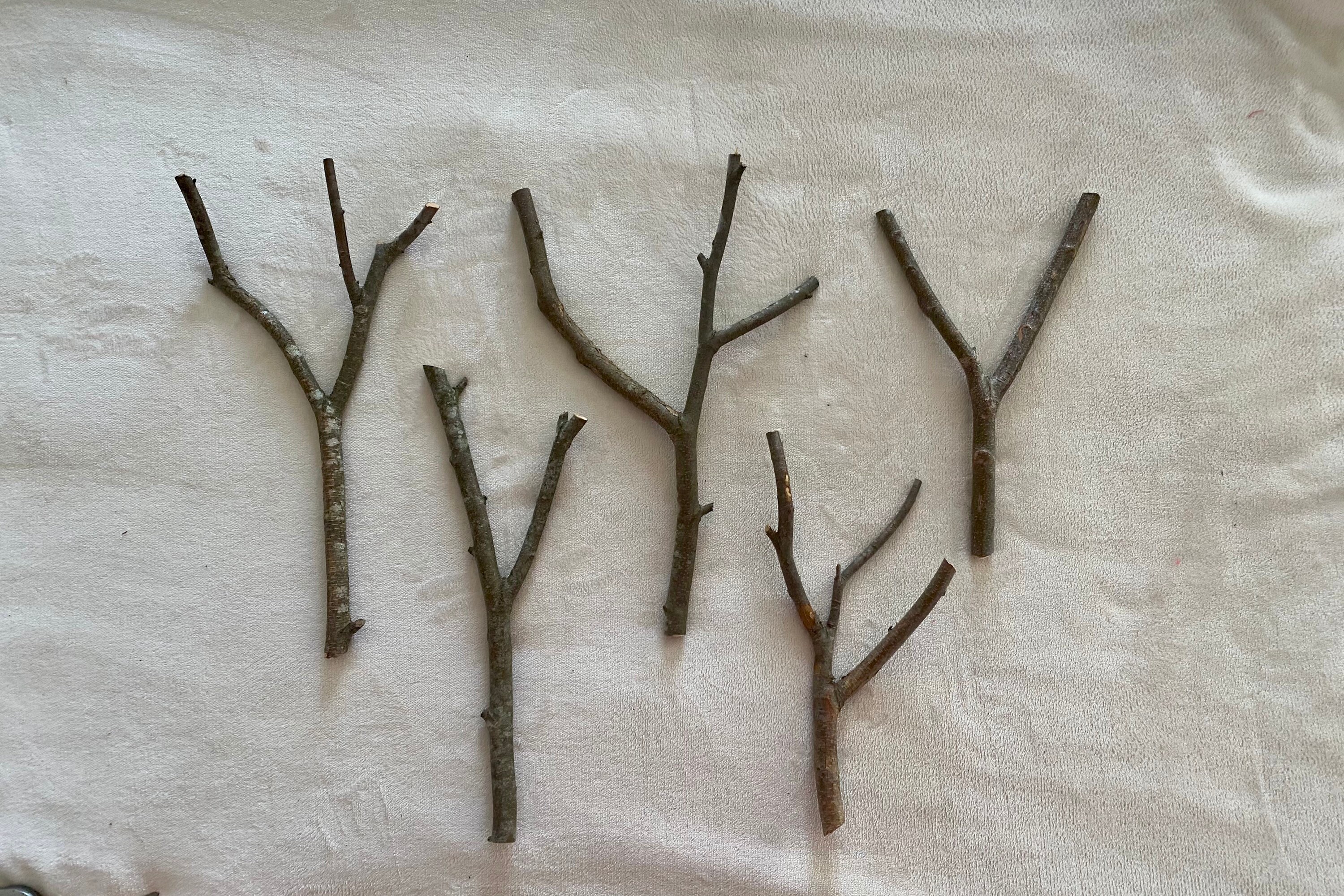 Birch Branches naturally forked thin set of 5 Etsy