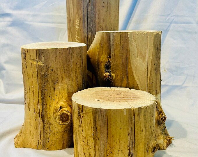 Cedar Log Stumps Set of 4 Large Rustic Wood Decorations Rustic Wedding, Rustic Table Centerpiece