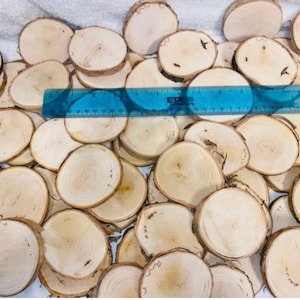 May include: A large pile of natural wood slices, approximately 3 inches in diameter, with a blue ruler for scale. The wood slices are smooth and have a light brown color.