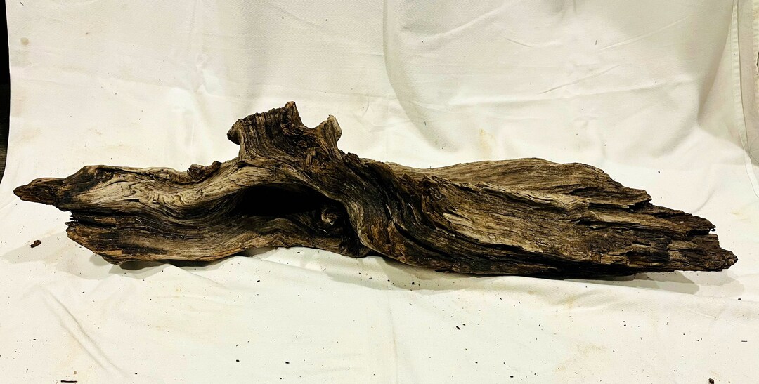 Driftwood Branch Freshwater Natural Decor Terrarium Decor Etsy