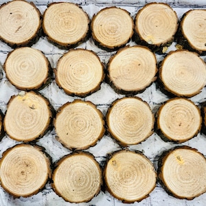 May include: A collection of twenty-eight natural wood slices, each with a circular shape and visible growth rings. The slices have a light brown color with darker bark edges. They are arranged on a white brick background.