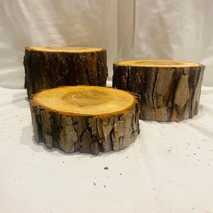 May include: Three round wooden slices, each with a different diameter, are stacked on top of each other. The slices are made of natural wood with a rough bark texture.