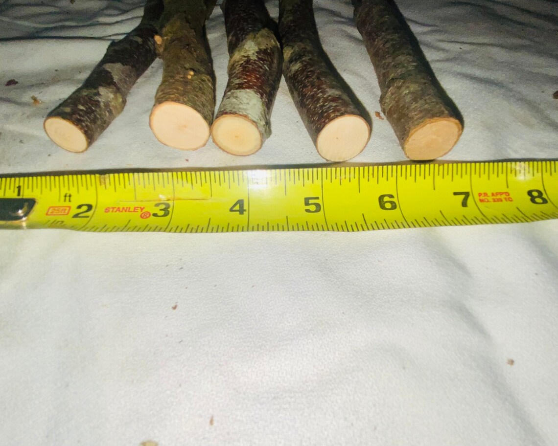 Birch Limbs Set of 5 Birch Wand 18 20 Long All Etsy