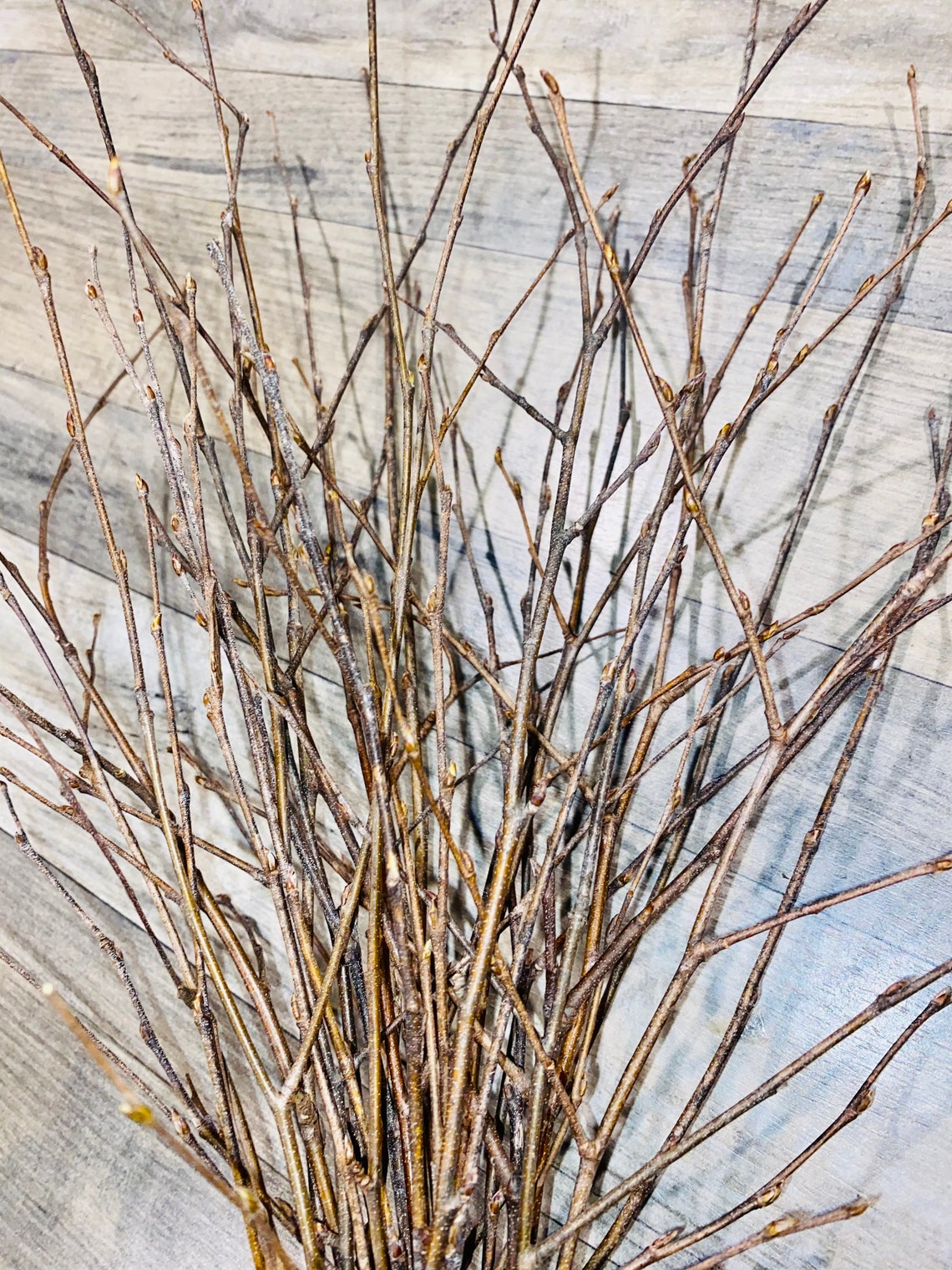 Bundle of real Birch Twig Branches 50 total 21 24 long Etsy