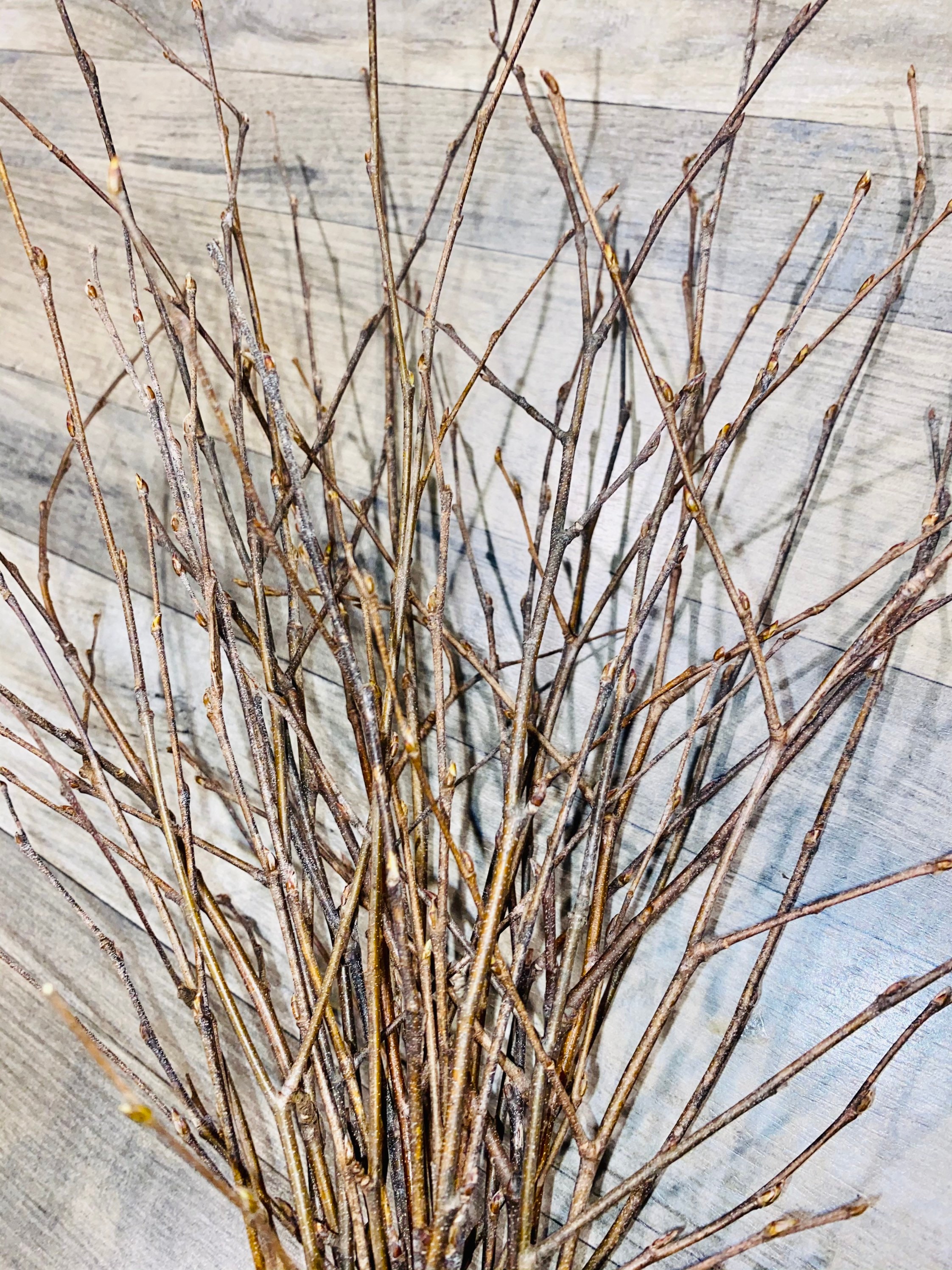 Bundle of natural thin Birch Twig Branches 50 total 18 Etsy