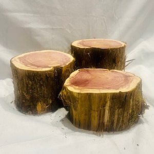 rustic cedar stumps- set of 3- live edge rustic cedar risers - wedding decor, aromatherapy, rustic wood decor - display risers