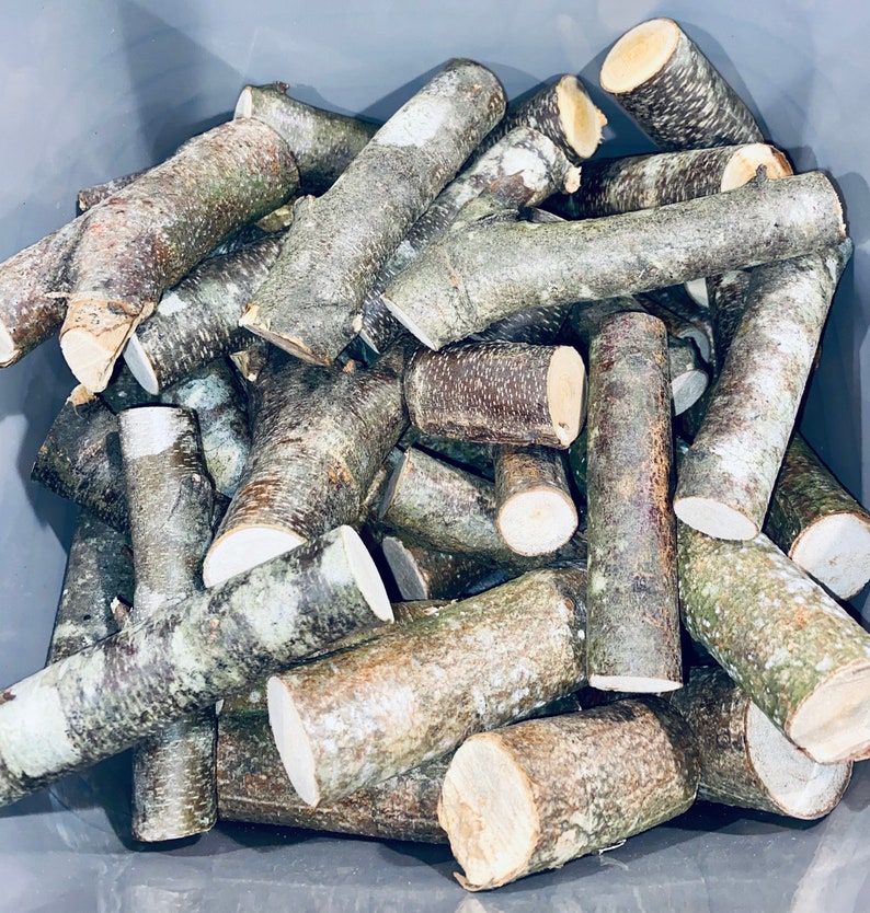 Mini Birch Tree Logs Bulk Over 25 Pieces Etsy