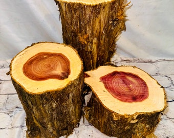 Cedar Log Stumps - set of 3 - large rustic wood decorations- rustic wedding, rustic table centerpiece -cedar log risers