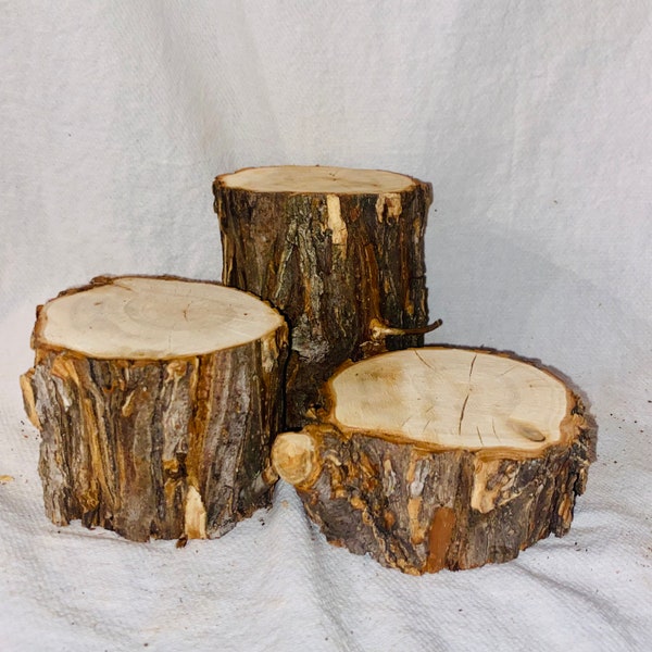 Willow Wood Log Stumps - set of 3- diameter 3 1/2” - rustic wood decorations- rustic wedding, rustic table centerpiece- log risers