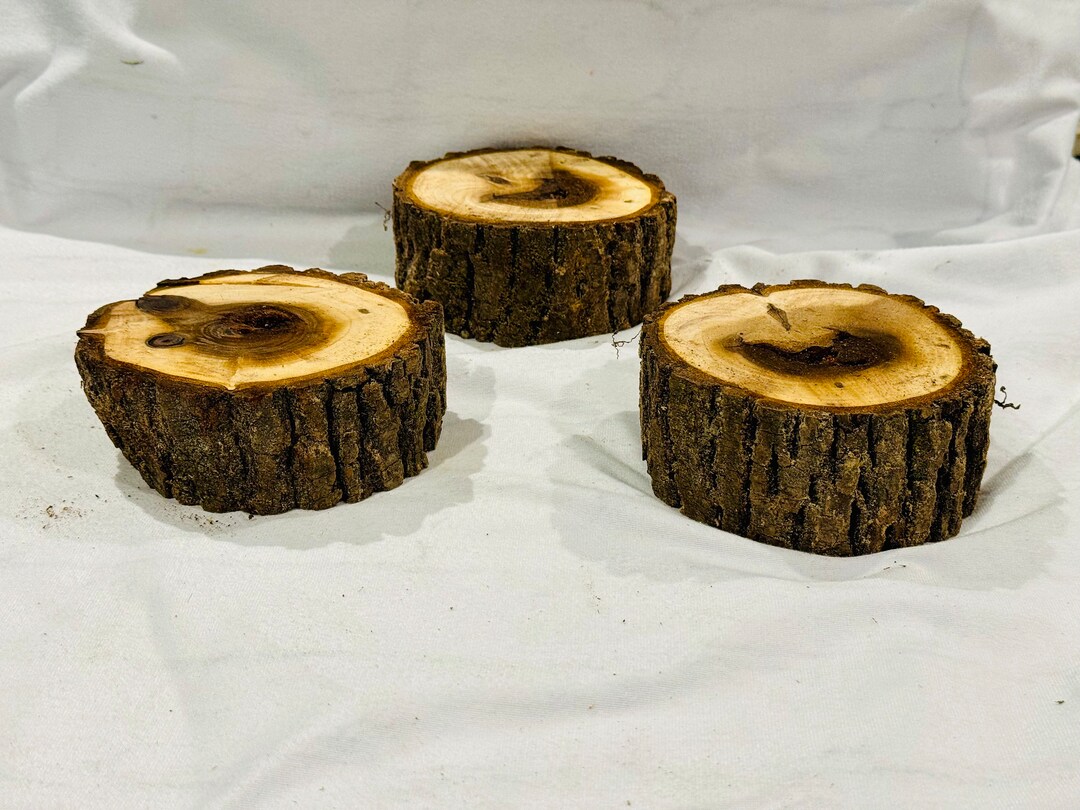 Black Walnut Stumps Set of 3 Wood Risers Beautiful Black Walnut Slabs