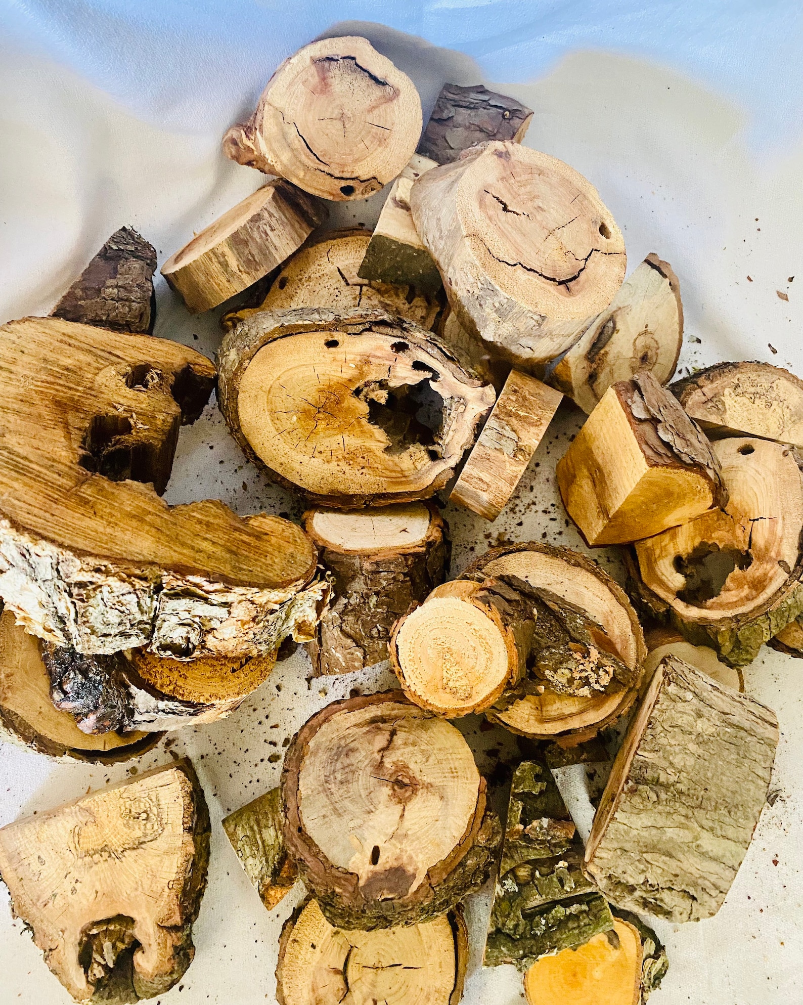 Assorted Wood Burl Pieces Box of Burl Wood Over 30 Pieces Etsy