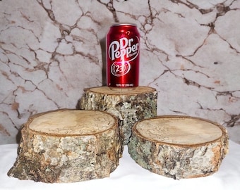 Birch Tree Stump Set: Rustic Wedding Table Decor, Fairy Garden Stands