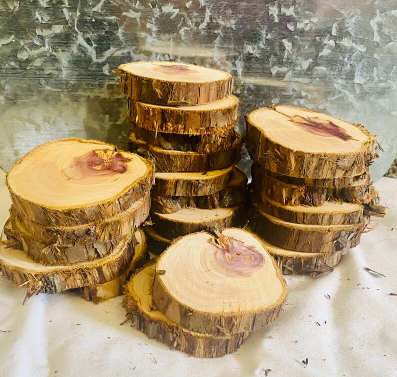 Maple Ridge Cedar Rounds Natural Edge Cedar Craft Rounds - Fresh 2 1/2 Inch Diameter - Set of 20 ...