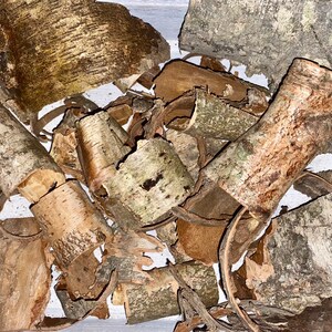 May include: Close-up of birch bark pieces in various shapes and sizes. The bark displays a mix of light brown, tan, and gray hues, with some pieces showing a textured, layered appearance. The image suggests a natural, rustic theme, possibly for crafting or decorative purposes.