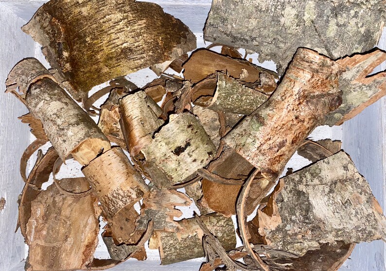May include: Close-up of birch bark pieces in various shapes and sizes. The bark displays a mix of light brown, tan, and gray hues, with some pieces showing a textured, layered appearance. The image suggests a natural, rustic theme, possibly for crafting or decorative purposes.