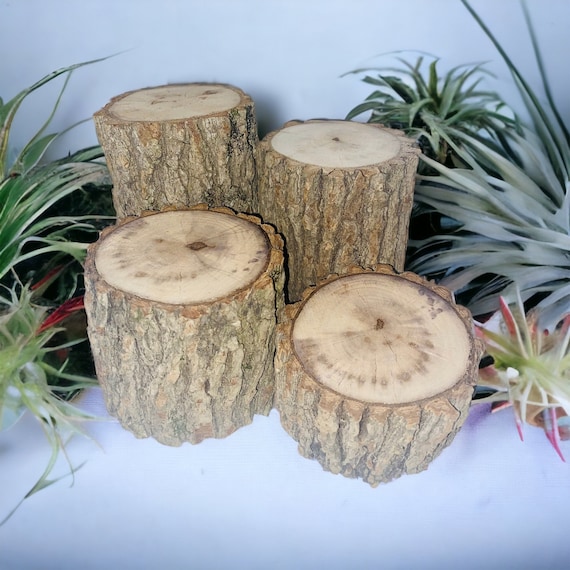 Buy Rustic Wood Log Stumps Set of 4 Diameter 3 to 4 ,rustic Wood Decorations  Rustic Wedding, Rustic Table Centerpiece Online in India 