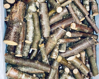 Birch tree sticks/branches- minis- 100 pieces - jar filler