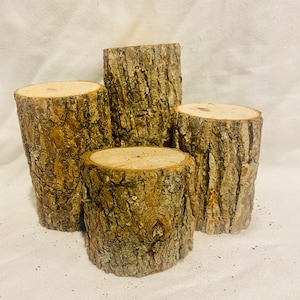 May include: Four natural wood slices, stacked in a pyramid shape, with the bark still attached. The wood is a light brown color with a rough texture.