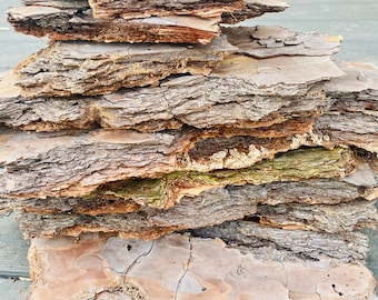 Natural Pine Tree Bark - 1 pound