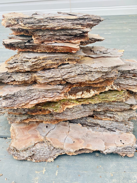 Natural Pine Tree Bark - 1 pound