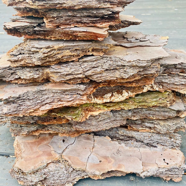Natural Pine Tree Bark - 1 pound