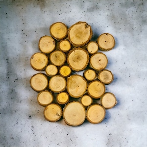 Oak Wood Slices (25): Rustic DIY Craft Discs, 1-3 Inch