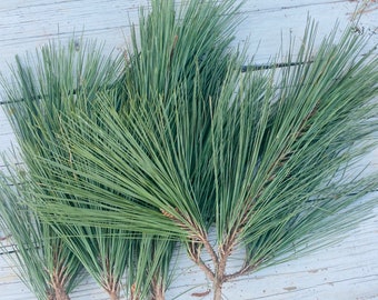 May include: Close-up of four sprigs of green pine needles with brown stems. The pine needles are arranged in a fan shape on a white wooden surface.