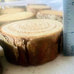 May include: Close-up of several wood slices, each with a light tan center and a dark brown, textured bark edge. A ruler shows the thickness of one slice is approximately 2.5 cm. The wood slices are likely for crafts or rustic decor.