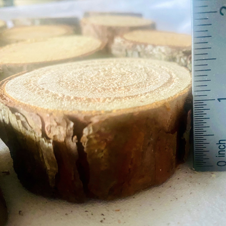 May include: Close-up of several wood slices, each with a light tan center and a dark brown, textured bark edge. A ruler shows the thickness of one slice is approximately 2.5 cm. The wood slices are likely for crafts or rustic decor.