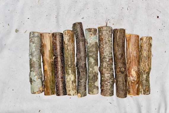 Assorted Wood Logs - Natural Craft Sticks, 5-7 Inch (Set of 10)