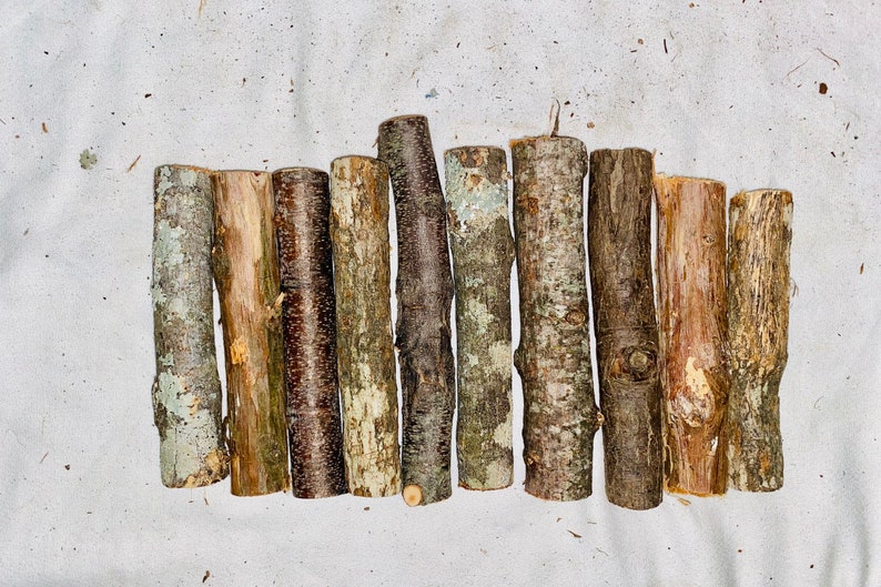 May include: A collection of 11 natural wood sticks, varying in length and diameter, with a light brown, grey, and white bark. The sticks are arranged in a row on a white fabric background.