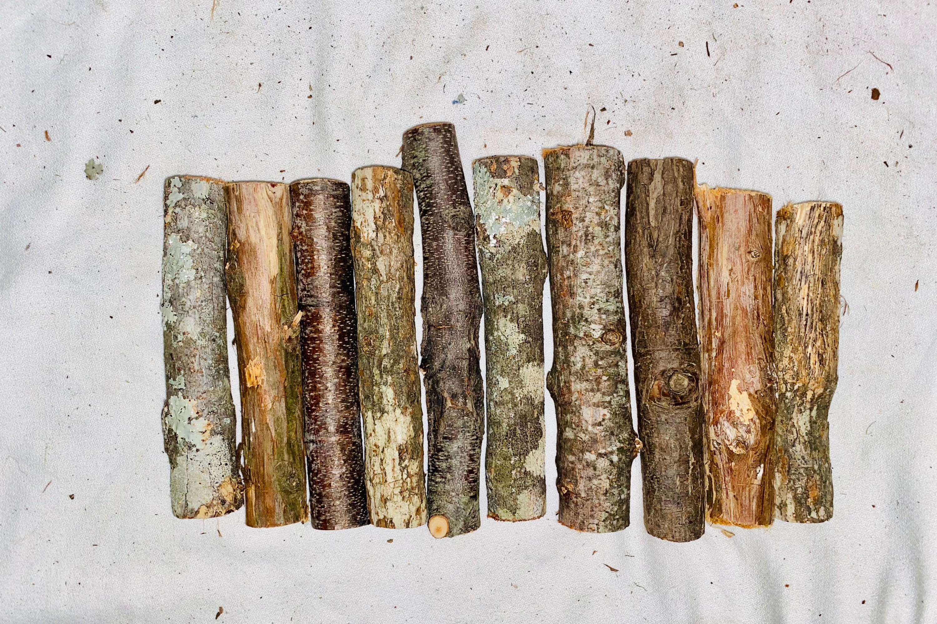 Small Wood Logs - Set of 10 - Assorted Mini Logs - Wood Small Wood Logs - Set of 10 - Assorted Mini Logs - Wood