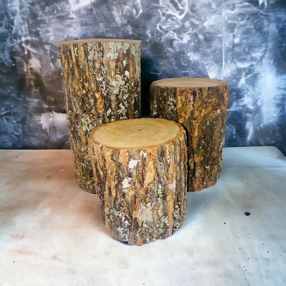 Rustic Wood Log Stumps Set of 3 Large Rustic Wood Decorations Rustic  Wedding, Rustic Table Centerpiece, Fairy Garden Decor 