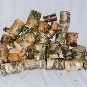 May include: A pile of natural birch wood rounds, perfect for crafting or decorating. The wood is light brown with a natural bark texture.