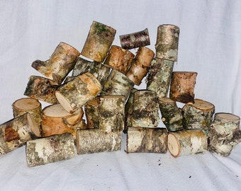 May include: A pile of natural birch wood rounds, perfect for crafting or decorating. The wood is light brown with a natural bark texture.
