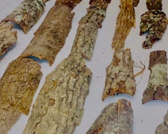 Natural Tree Bark Pieces: 10 oz Bulk for Fairy Gardens & DIY Crafts