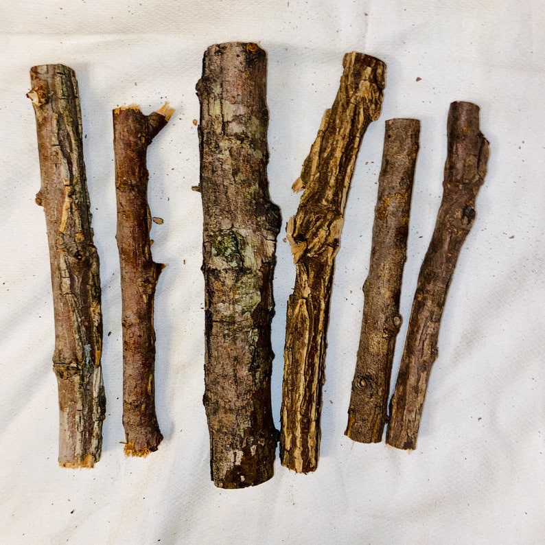 Willow Limbs Set of 6 Willow Wand Carving Willow Wood Etsy