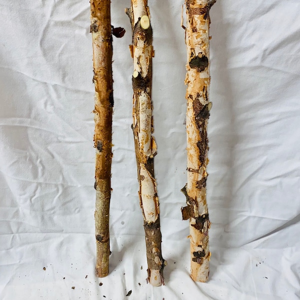 Birch Rod- set of 3 - 2 ft long- all natural craft sticks- birch rod - birch sticks - birch pole - birch dowel