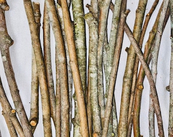 Willow Stick Bundle - 25 count