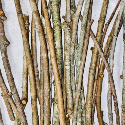 Willow Stick Bundle 25 Count Etsy