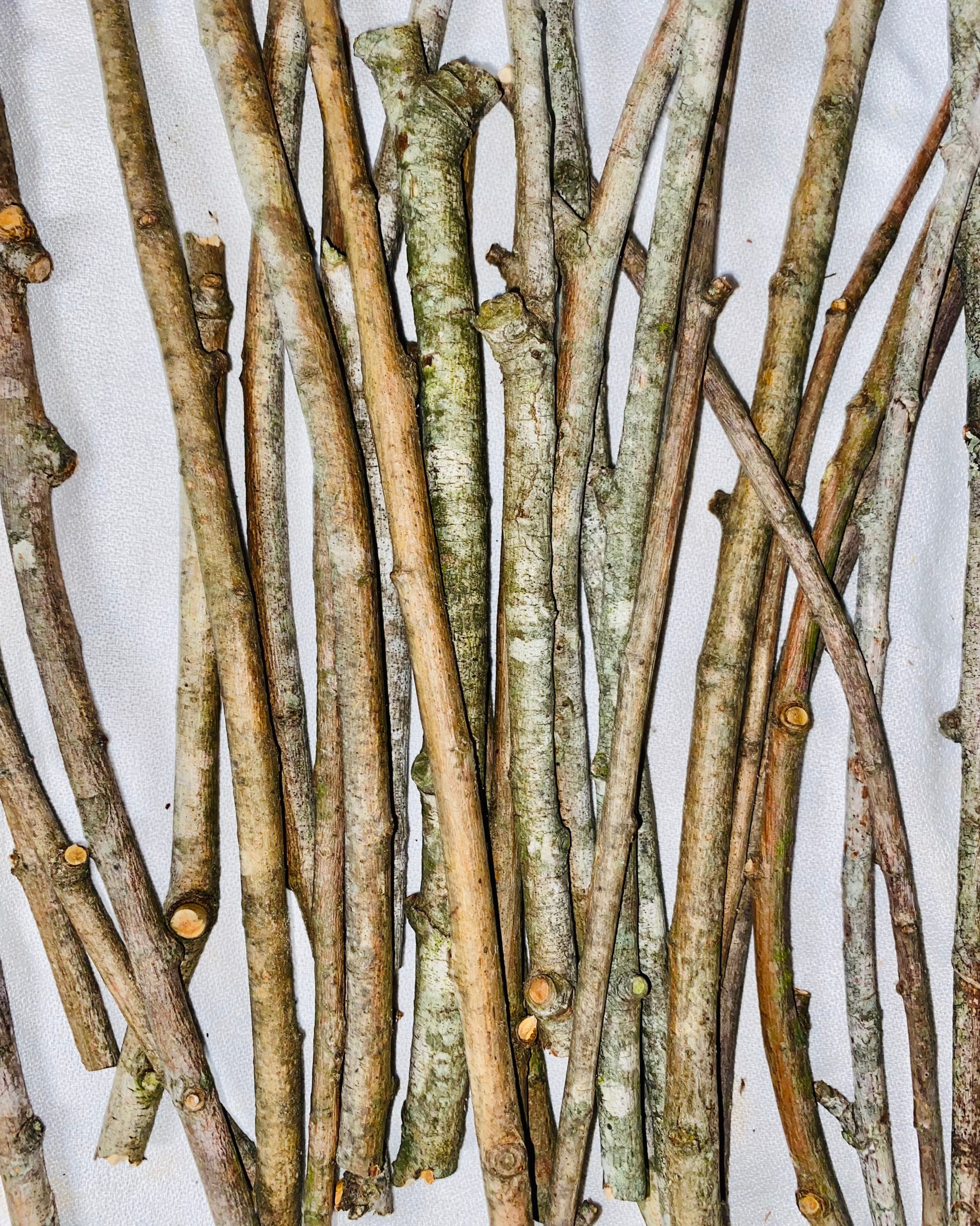 Willow Stick Bundle 25 Count Etsy